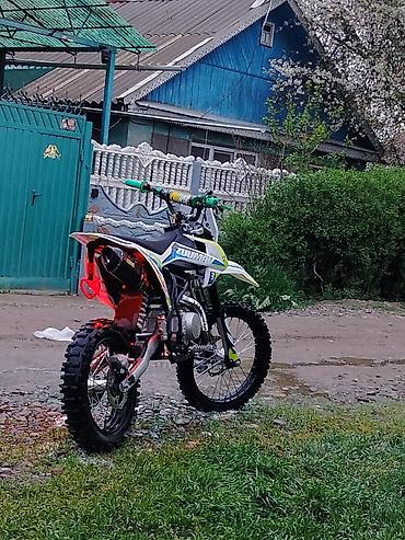 150: Питбайк 150 куб. см, Бензин, Взрослый, Б/у — 8