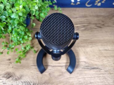 Студийные микрофоны: Микрофон NEAT Bumblebee II - профессиональный конденсаторный — 4