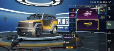 2022 şalvar modelleri: PUBG Mobile hesabı – eksklüziv kosmetikalar və skinlər paketi Tərkib