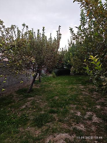 Продажа коттеджей и домов: Продам частный дом! Район: Начало ул. Шералиева Ул. Бишкек-125 — 25