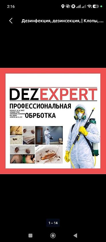 Дезинфекция, дезинсекция, | Клопы, | Офисы at lalafo.kg Дезинфекция, дезинсекция, | Клопы, | Офисы
