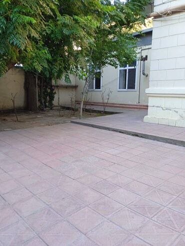 Uzunmüddətli kirayə evlər: 75 kv. m, 3 otaqlı — 6