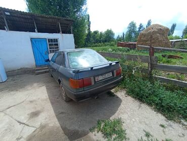 двери от ауди: Audi 80: 1990 г., 1.8 л, Механика, Бензин, Седан