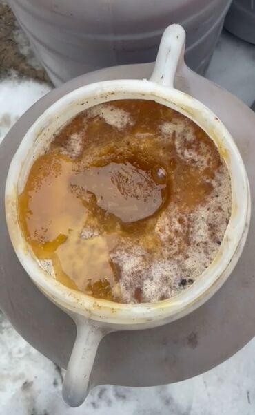 Мёд: Мёд токтогулский горный натуральный свежий качка кг 150сом бачок 33кг