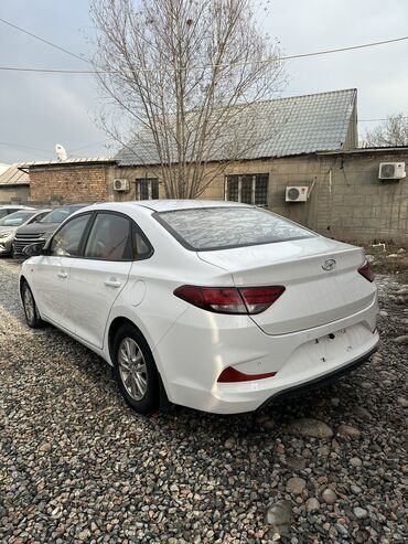 Hyundai: Hyundai : 2019 г., 1.6 л, Автомат, Бензин, Седан — 5