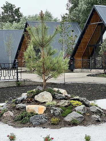 Дизайн, проектирование: Ландшафтный дизайн авто полив водопады пруды водоемы ручьи посев — 33