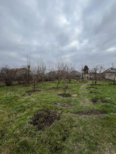 Həyət evləri və villaların satışı: 3 otaqlı, 80 kv. m, Kredit yoxdur, Təmirsiz — 5