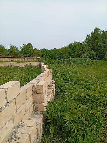 Torpaq sahələrinin satışı: 12 sot, Tikinti, Mülkiyyətçi, Kupça (Çıxarış) — 8
