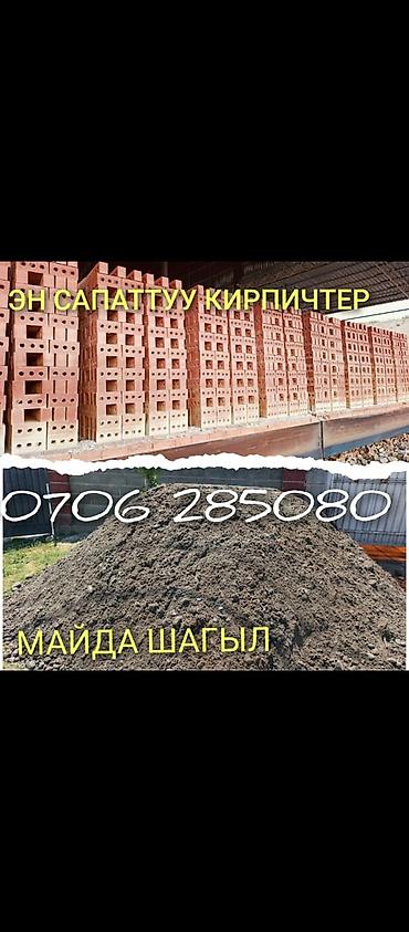 голуби тасман: Продаю | Баран (самец) | Для разведения | Племенные — 3