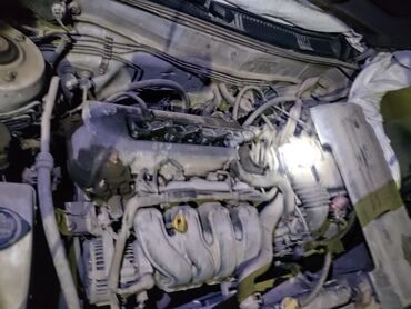 мотору жок: Toyota каролла матор сатылат об.1.6 матор жакшы рейкасы бар. сабпалар