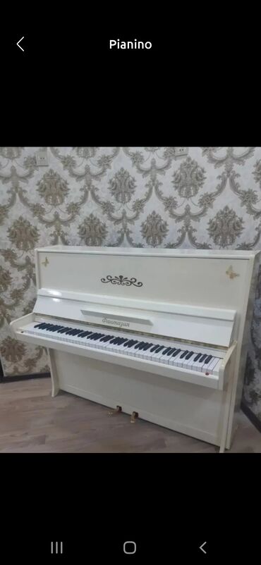 pianino ve diger ev esiyalarini yuklerin dasınmas: Piano, Akustik