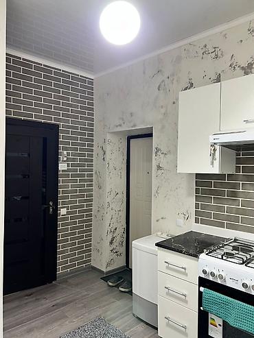 Продажа квартир: 1 комната, 39 м², Индивидуалка, 4 этаж, Евроремонт — 8