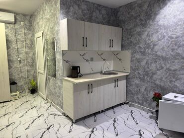 Bağ evlərinin kirayəsi: 40 kv. m, 1 otaqlı, Hovuzsuz, Kombi, Qaz, İşıq — 4