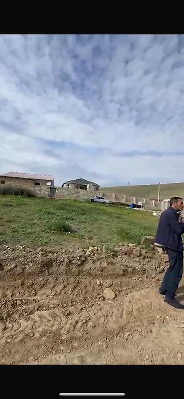 Tikinti, Kupça (Çıxarış)