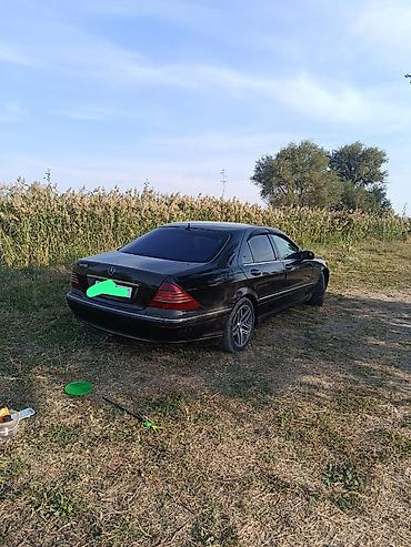 гидро маторчик: Mercedes-Benz S-Class: 2000 г., 4.3 л, Автомат, Газ, Седан — 5