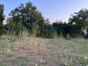 Torpaq sahələrinin satışı: 10 sot, Tikinti, Mülkiyyətçi, Kupça (Çıxarış) — 10