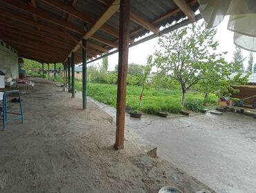 дом с бассейном: 16 соток, Для сельского хозяйства, Красная книга