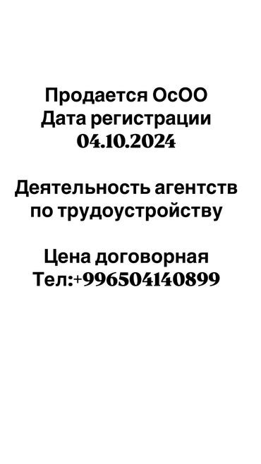 продаю питинитка: Продается ОсОО Дата регистрации 04.10.2024 Деятельность агентств по