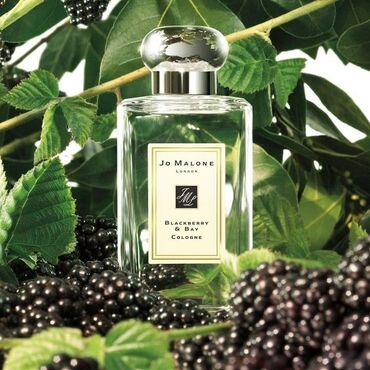 Парфюмерия: Jo Malone Blackberry &amp; Bay — это свежий, зелёно-ягодный