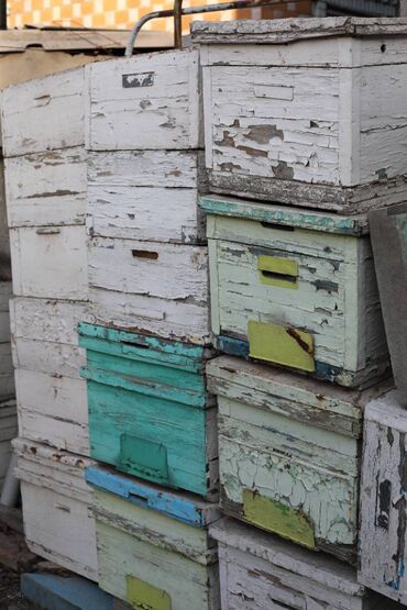 Товары и оборудование для с/х животных: Ульи около 45 комплектов. Рутовская система, корпусные, пригодны для — 27