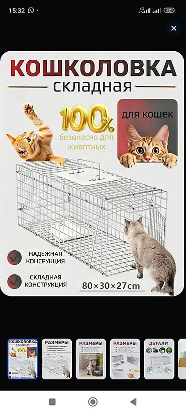Складная живоловушка-капкан гуманного типа Назначение: - Отлов кошек at lalafo.kg Складная живоловушка-капкан гуманного типа Назначение: - Отлов кошек