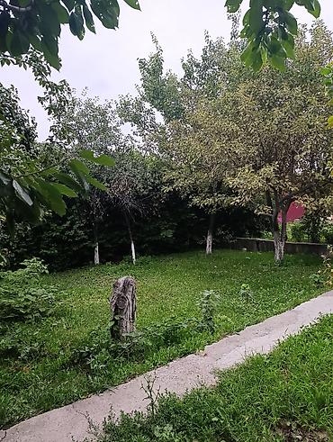 Продажа дачи: Навес/веранда у дома - Просторный навес на опорах, примыкает к стене — 9