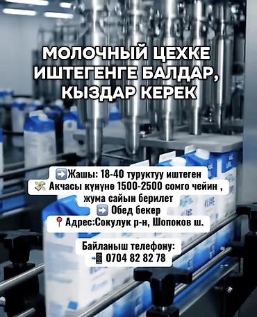 коровы молоко: Требуется Разнорабочий на производство, Оплата: Еженедельно, Без опыта — 1