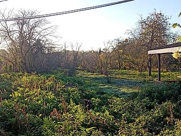 yeni gunəsli d massivi: 18 sot, Tikinti, Maklerlər narahat etməsin, Kupça (Çıxarış) — 1