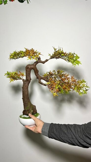 Süni güllər: Süni bonsai ağacı – dekorativ içməkan yaşıllaşdırma üçün - Realistik — 14
