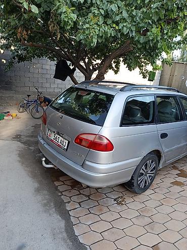 жукили: Toyota Avensis: 2001 г., 1.8 л, Механика, Бензин, Универсал — 5