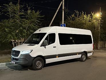 корниш рекс: Mercedes-Benz Спринтер: 2019 г., 3 л, Автомат, Дизель, Бус — 1