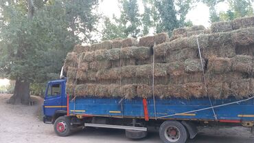бву диван: Фура, По региону, По городу, По стране, без грузчика