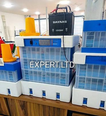 İnkubatorlar: Çin, Fabrik istehsalı, Tam avtomat, Bütün növ quşlaq üçün — 1