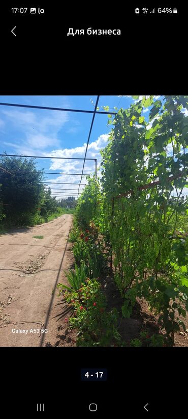 Продажа участков: 230 соток — 16