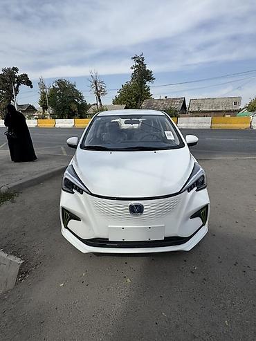 Changan: Changan Benben E-Star: 2024 г., 1 л, Вариатор, Электромобиль, Хэтчбэк — 1