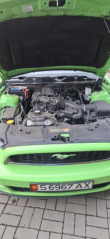 Ford: Ford Mustang: 2012 г., 3.7 л, Автомат, Бензин, Купе — 18