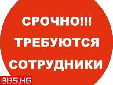 пигменты пескоблок: Талап кылынат Жыгач уста, Төлөм Жума сайын