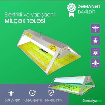 elektrik ev esyalari: Elektrik və yapışqanlı uçan həşəratlara qarşı tələ-EFT 0-120 kv.m
