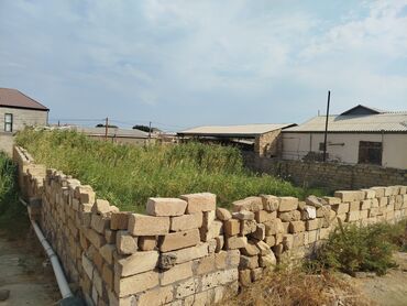 lenkeran cayi qiymeti: 4 sot, Biznes üçün, Barter mümkündür, Texniki pasport