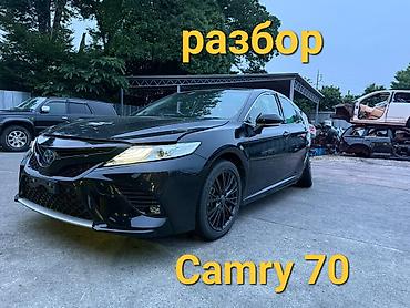 топливный фильтр камри 70: Разбор Camry 70 SE по всем вопросам звонить





Камри 70 — 1