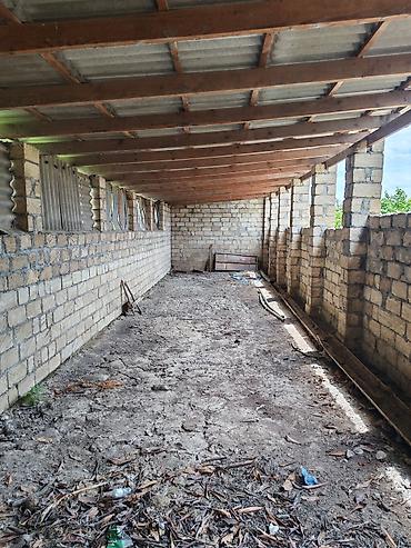 əmlak az: Satılır: Ferma satılır heyvandarlıq üçün təsərrüfat sahəsi və həyət — 6