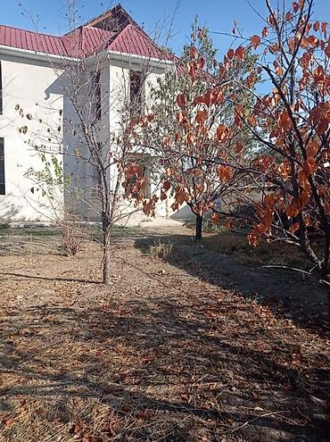 Продажа коттеджей и домов: Продаётся дом 14 соток участки газ,свет,вода,септик есть ремонт почти at lalafo.kg — 17 Продажа коттеджей и домов: Продаётся дом 14 соток участки газ,свет,вода,септик есть ремонт почти — 17