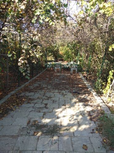 Torpaq sahələrinin satışı: 12 sot, Mülkiyyətçi, Kupça (Çıxarış) — 13