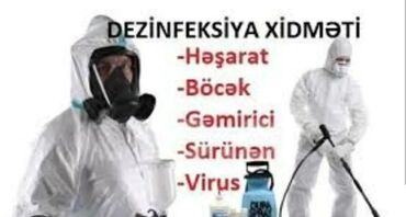 Dezinfeksiya, dezinseksiya: Dezinfeksiya, dezinseksiya