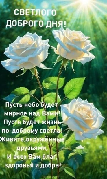 домик для собаки: Приму в дар вещи для школы девочке 10 лет