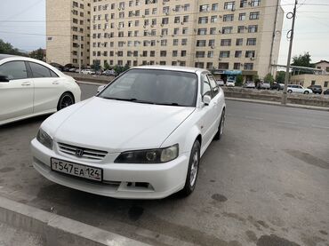 хонда акорд тар: Белый седан Honda Accord с характерным дизайном кузова, включающим