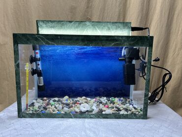Akvariumlar: Akvarium dəst 50m Qapaqli Arxa fonu Led işiq Filtir Su qizdirici