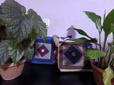 Шопперы: Шопперы — 6