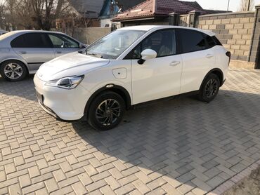 BYD: BYD : 2021 г., Электромобиль, Кроссовер — 12