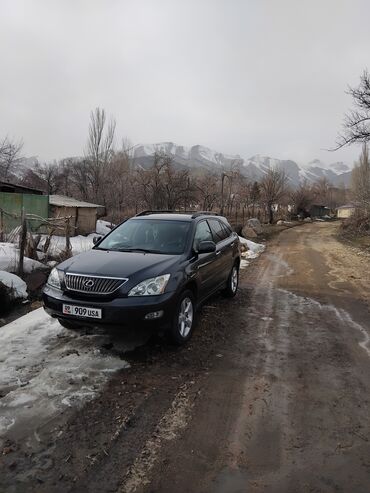Lexus: Lexus RX: 2005 г., 3.3 л, Автомат, Бензин